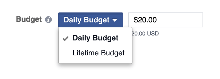 Facebook ads choose a budget