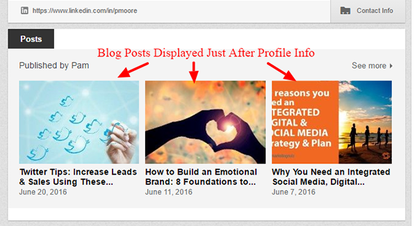 image2-place-blog-posts-below-profile-section