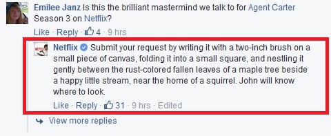 netflix on facebook following up with fans