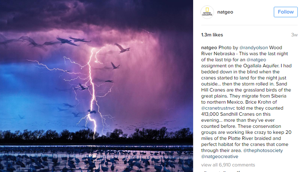 10 brands killing it on Instagram in 2016 National Geographic