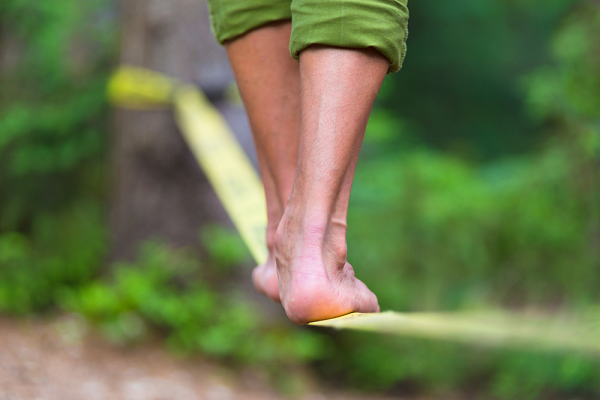 walk-the-line-between-data-and-creativity