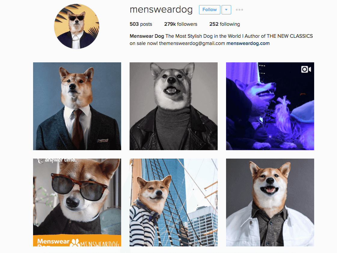 Celebrity Instagram pets 