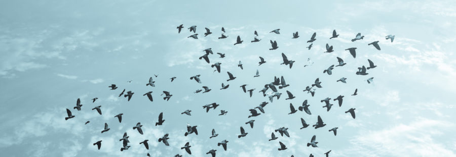 Making Social more Legitimate: Getting Buy-in from Senior Executives