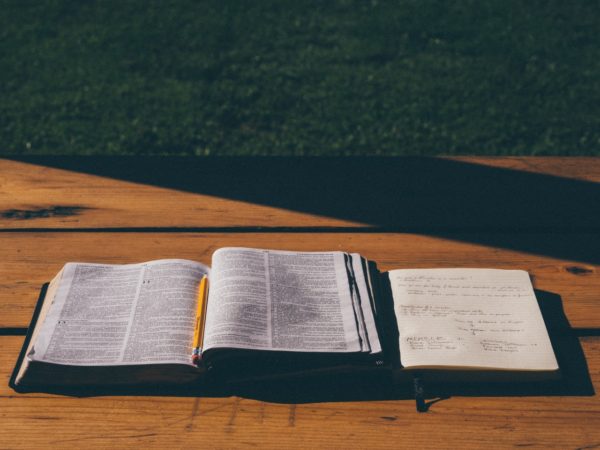 books-school-field-pencil