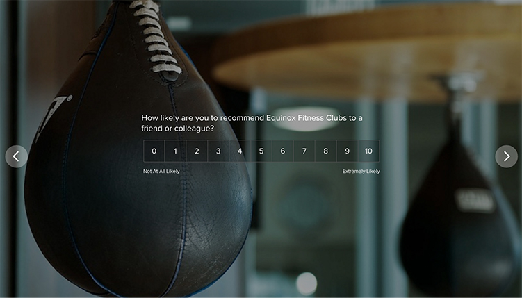 net promoter score example