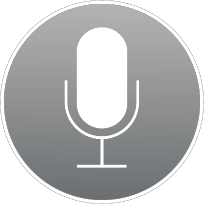 voice