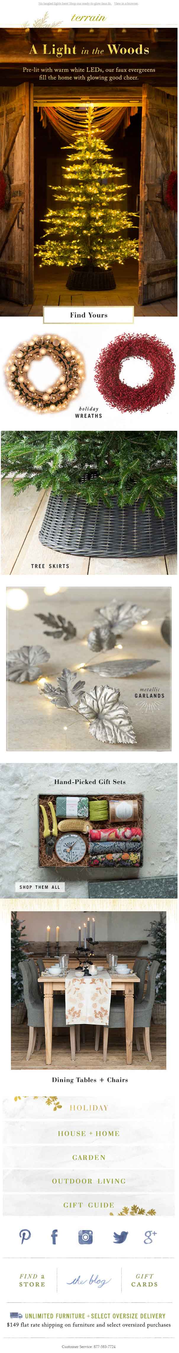 Christmas Email Template_Terrain