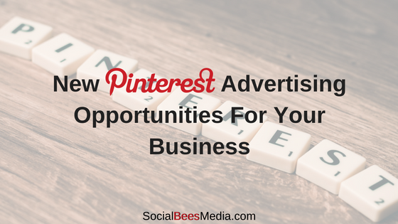 Learn About The Newest Pinterest Advertising Opportunities For Your Business
