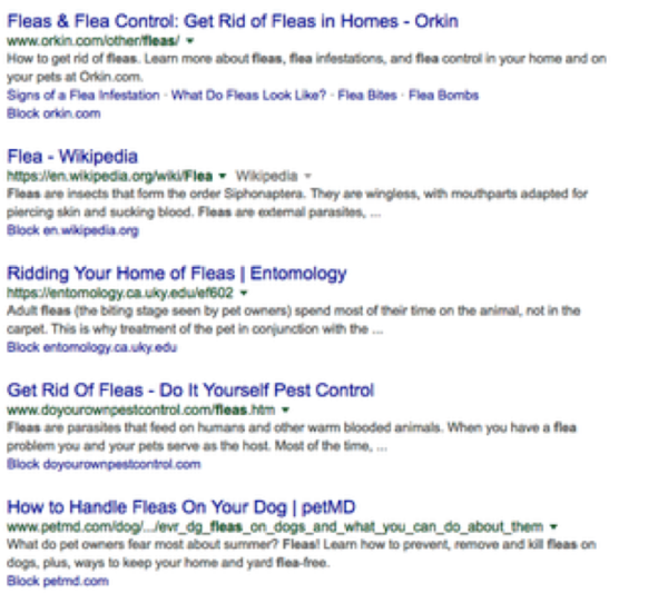fleas