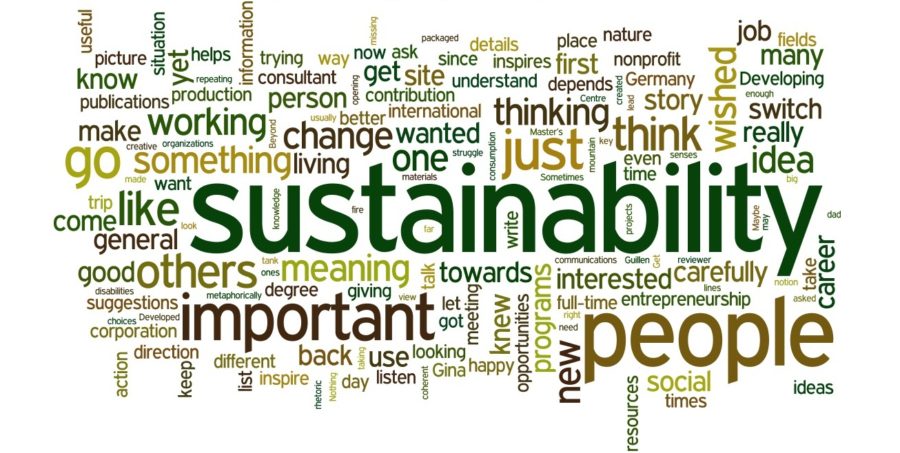corporate sustainabilty policy