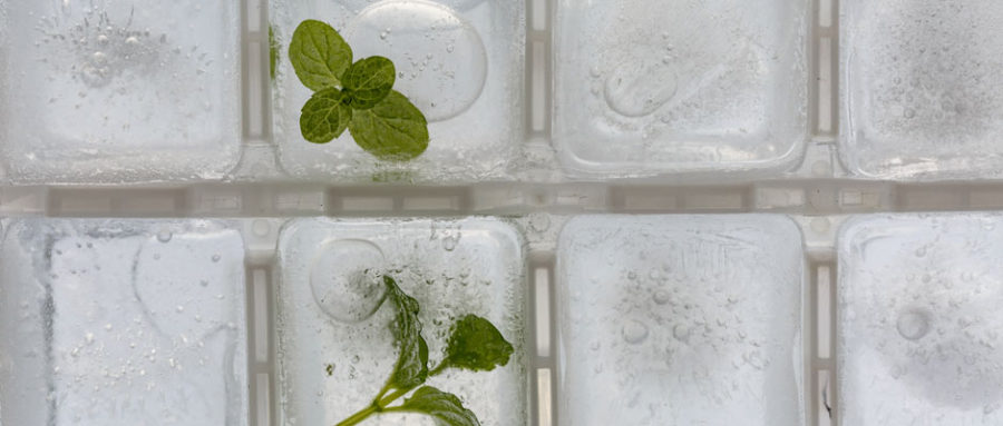 Photo of an ice cube tray with mint leaves frozen inside, posed as a metaphor for data cold storage