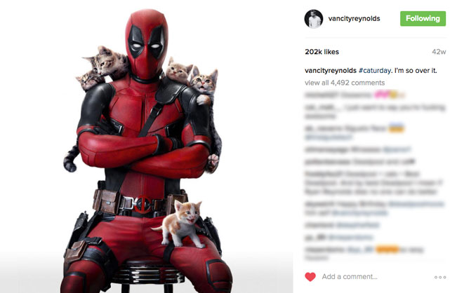 The 13 Best Instagram Marketing Campaigns of 2016
