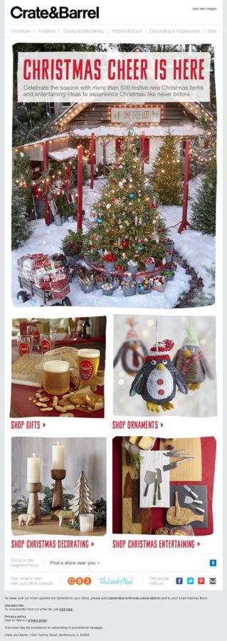 Seasonal promotion email example