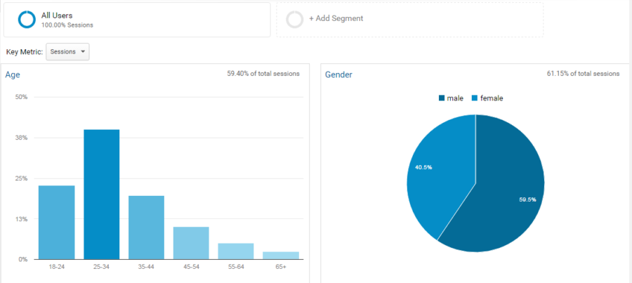 B2B content marketing WordStream audience demographic profile
