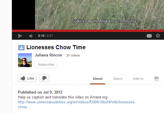 YouTube Description Optimization