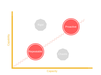 Proactive Customer Success in Fast-Growing Companies