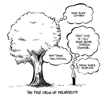 Human Logic in Decision Making and How to Use it in Marketing