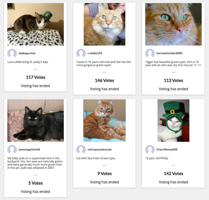 Social Media Contests: 50 Ideas, Tips and Examples