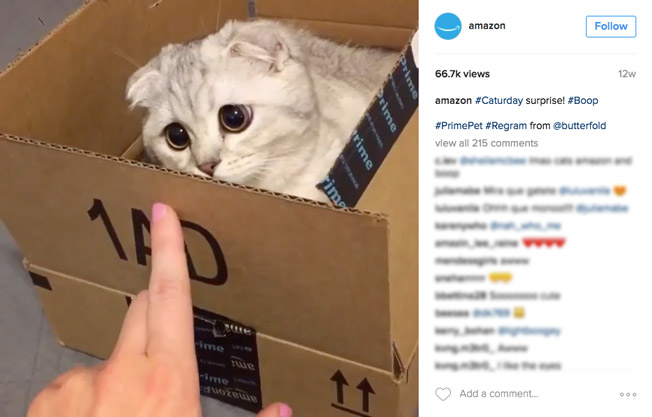 Instagram Marketing: 20 Excellent Examples & Ideas from Top Brands