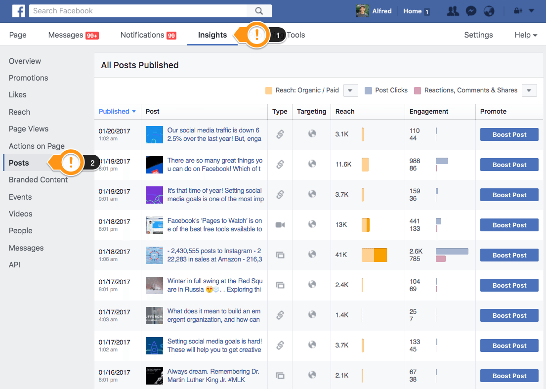 Facebook Page Insights - Posts
