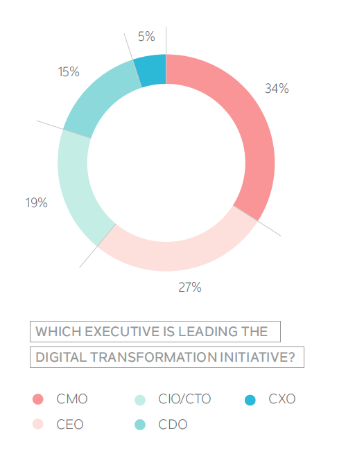 Which Executive Leads Digital Transformation