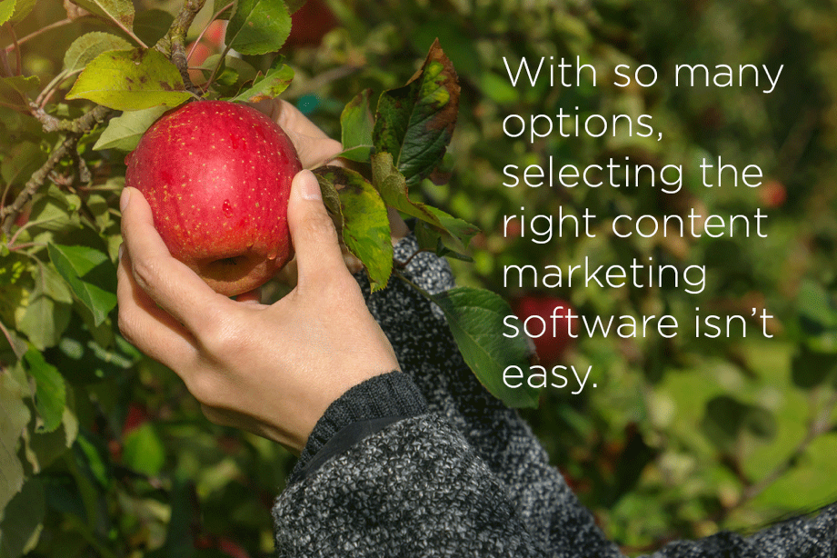 content marketing software selection