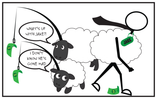 sheep-1024x651