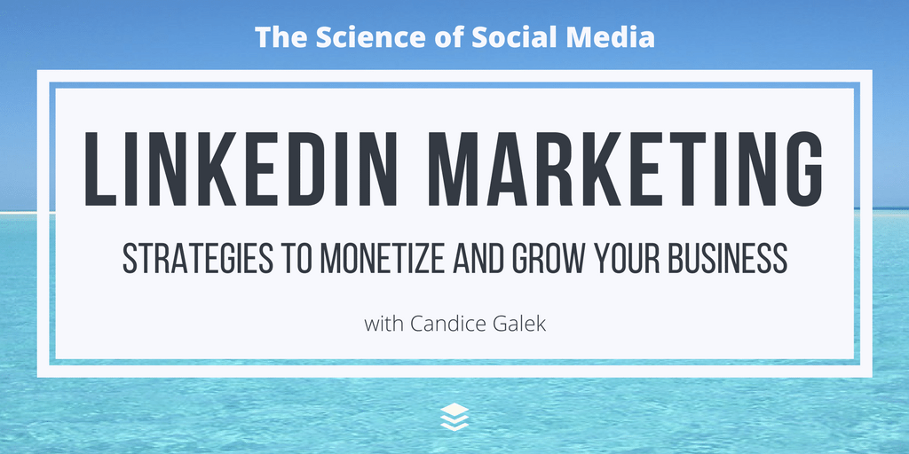 LinkedIn Marketing: Strategies to Monetize and Grow Your Business 