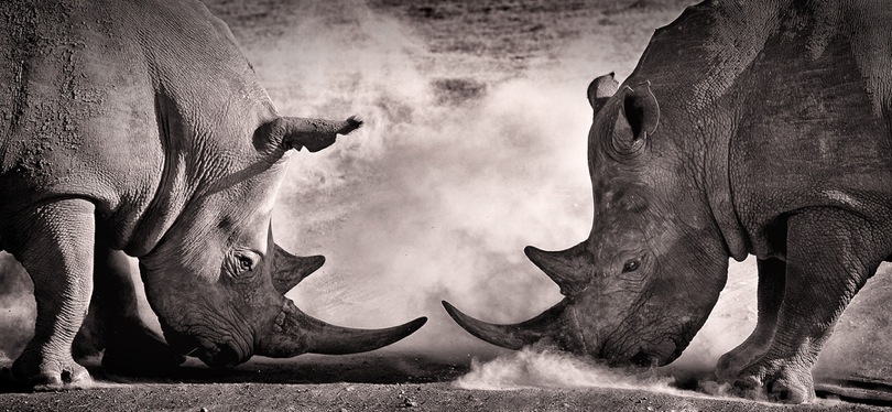 Organic Marketing Vs Paid Advertising: Who Wins The Traffic Game On Social?