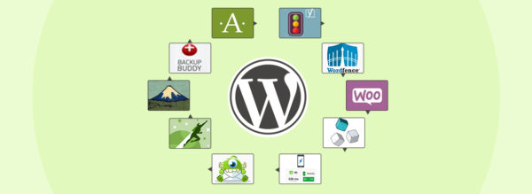Top-10-WordPress-Plugins-for-Business-Sites-2017