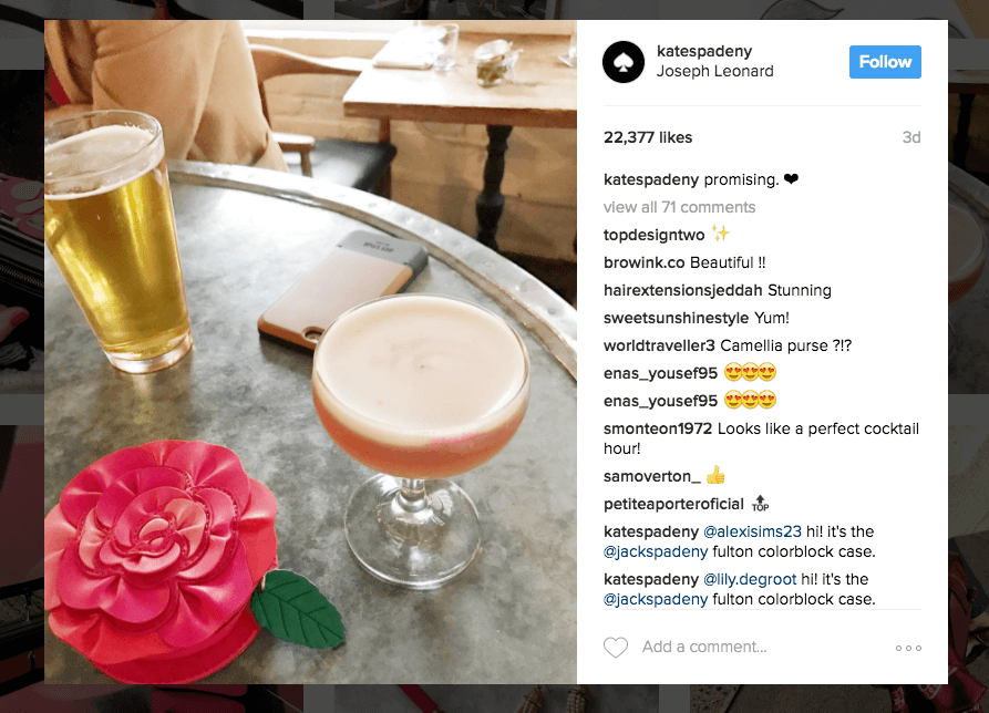 How to be Successful on Instagram: A Beginners Guide with Examples