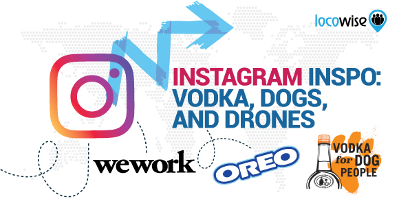 Instagram Inspo: Vodka, Dogs, And Drones