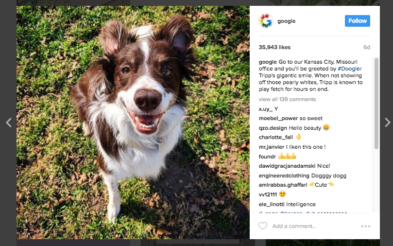 18 Creative Instagram Promo Ideas and Examples from Top Brands