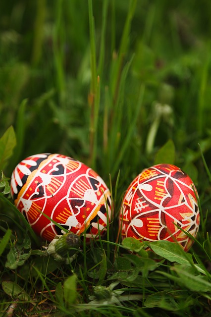 egg hunt photo