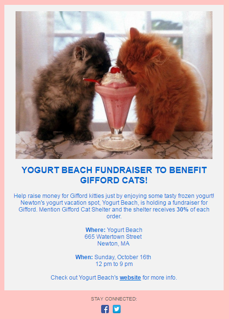Nonprofit Fundraiser example