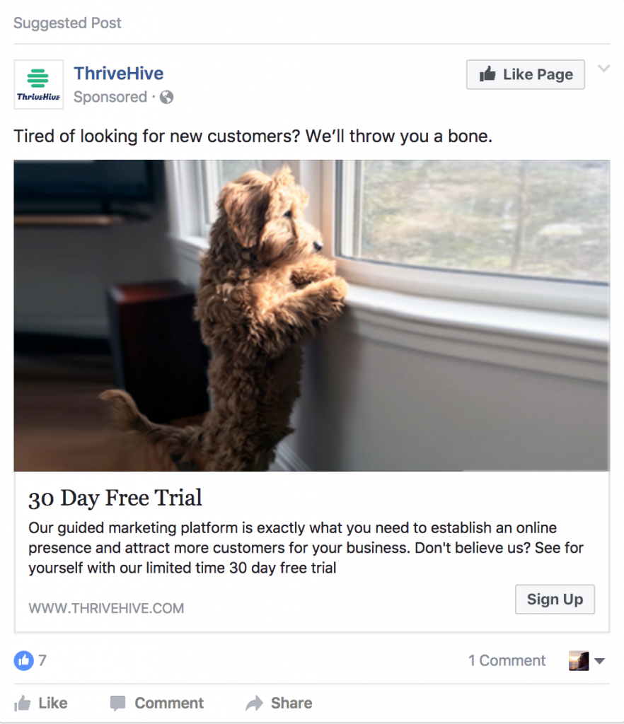 THRIVE HIVE CUTE ETHICAL BRIBE
