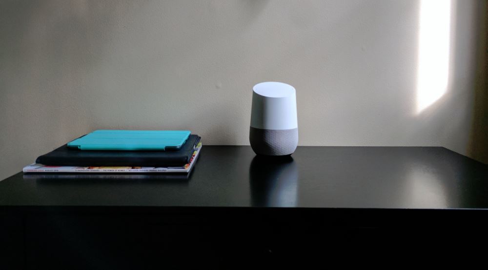 Google Home voice assistant