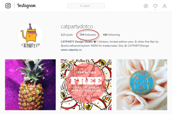 Instagram giveaways follower statistics