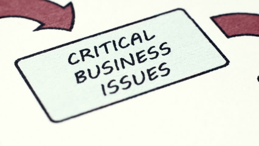 Critical Business Issues 