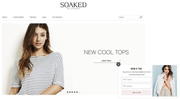 7 Examples of E-Commerce Popups Done Right - Business 2 Community