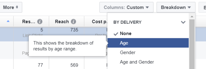Facebook data segmenting 