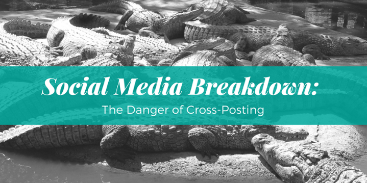 Social Media Breakdown- The Danger of Cross-Posting.png