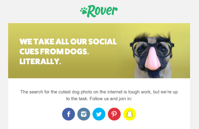 Rover Social Email.png