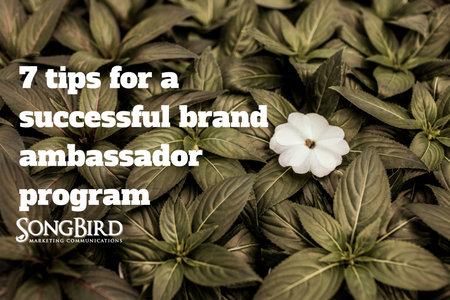 Brand Ambassador Program