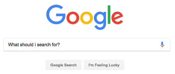 "What should I search for?" search query