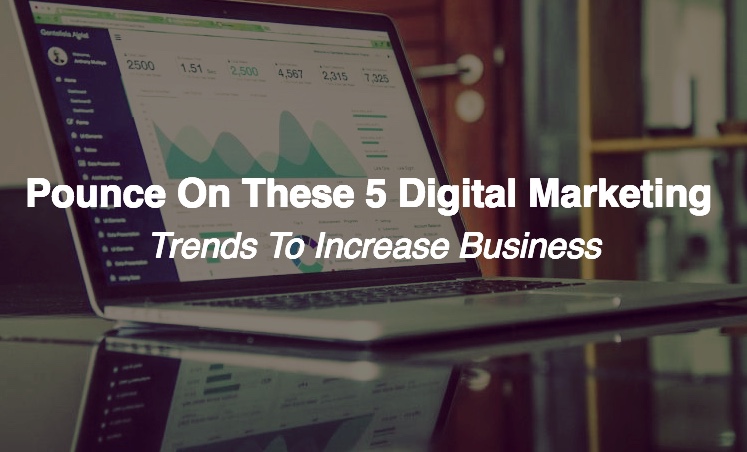Pounce on These 5 Digital Marketing Trends to Increase Business
