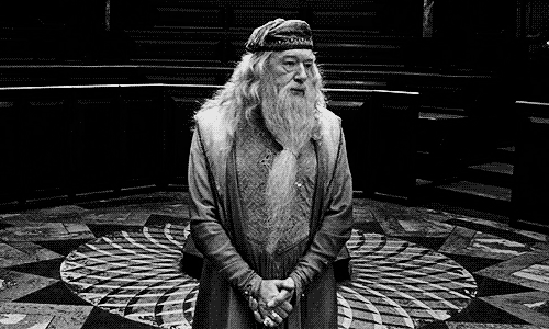 How long would Dumbledore wait to start making money blogging?