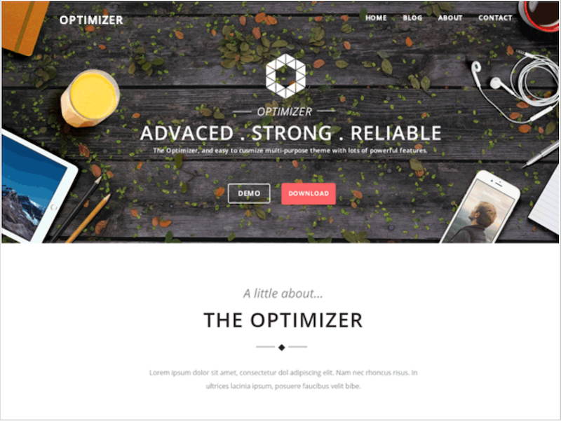 Optimizer