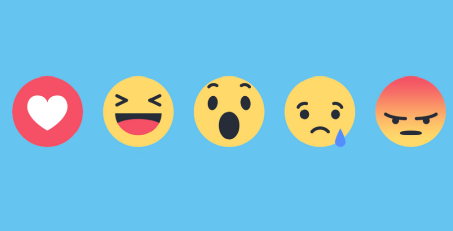 stop fake news quality content facebook algorithm