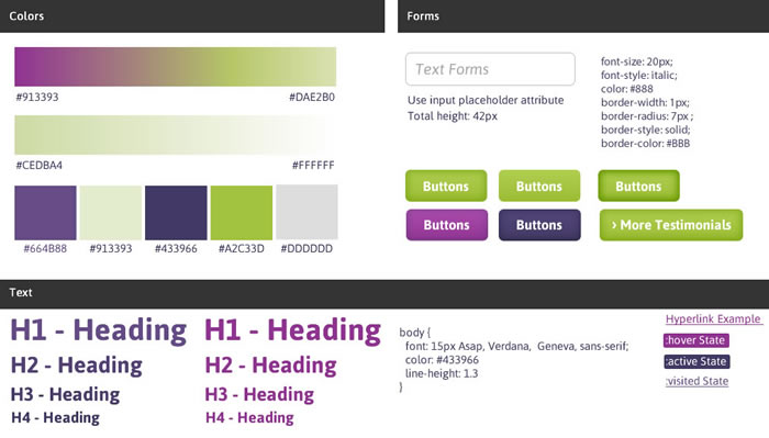 Visual Brand style guide for eVision Media